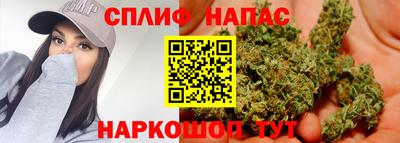 стаф Будённовск